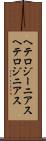 ヘテロジーニアス Scroll