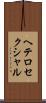 ヘテロセクシャル Scroll