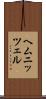 ヘムニッツェル Scroll