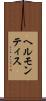 ヘルモンティス Scroll