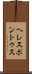 ヘレスポントゥス Scroll