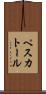 ペスカトール Scroll