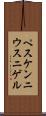 ペスケンニウス・ニゲル Scroll