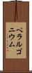 ペラルゴニウム Scroll