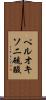 ペルオキソ二硫酸 Scroll