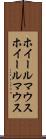 ホイールマウス Scroll