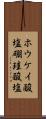 ホウケイ酸塩 Scroll