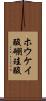 ホウケイ酸 Scroll