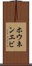 ホウネンエビ Scroll