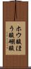 ホウ酸 Scroll
