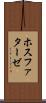 ホスファターゼ Scroll