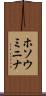 ホソウミニナ Scroll