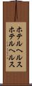 ホテルヘルス Scroll