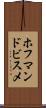 ホフマンドビスメ Scroll