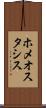 ホメオスタシス Scroll