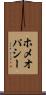 ホメオパシー Scroll