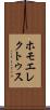 ホモ・エレクトゥス Scroll