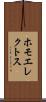 ホモエレクトス Scroll