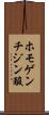 ホモゲンチジン酸 Scroll