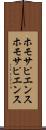 ホモサピエンス Scroll