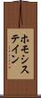 ホモシステイン Scroll
