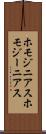 ホモジニアス Scroll