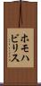 ホモハビリス Scroll