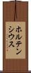 ホルテンシウス Scroll