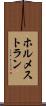 ホルメストラン Scroll