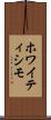 ホワイティシモ Scroll