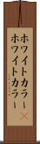 ホワイトカラー(P) Scroll