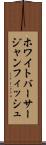 ホワイトバーサージャンフィッシュ Scroll