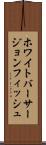 ホワイトバーサージョンフィッシュ Scroll