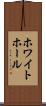 ホワイト・ホール Scroll
