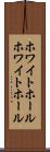 ホワイトホール Scroll