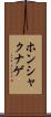 ホンシャクナゲ Scroll