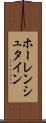 ホーレンシュタイン Scroll