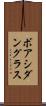 ボアシダングラス Scroll