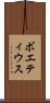 ボエティウス Scroll