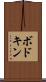 ボドキン Scroll