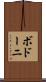 ボドーニ Scroll