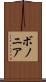 ボノニア Scroll