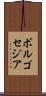 ボルゴセジア Scroll