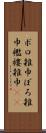 ボロ雑巾 Scroll