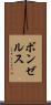 ボンゼルス Scroll