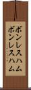 ボンレスハム Scroll