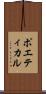 ポエティカル Scroll