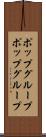 ポップグループ Scroll