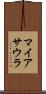 マイアサウラ Scroll
