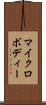 マイクロボディー Scroll